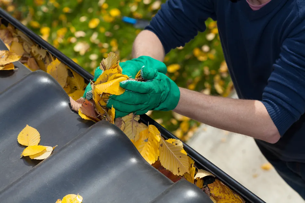 Gloved hands clearing autumn leaves from a tiled roof gutter